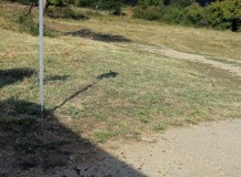 Man-skulle-tro-ker-kan-lse